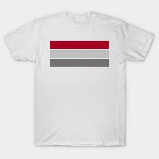 Three Classic Stripes - Red, Light Grey and Dark Grey T-Shirt